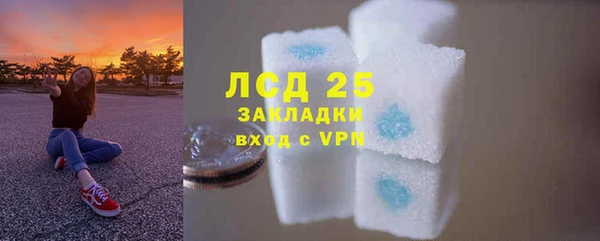 спайс Горняк