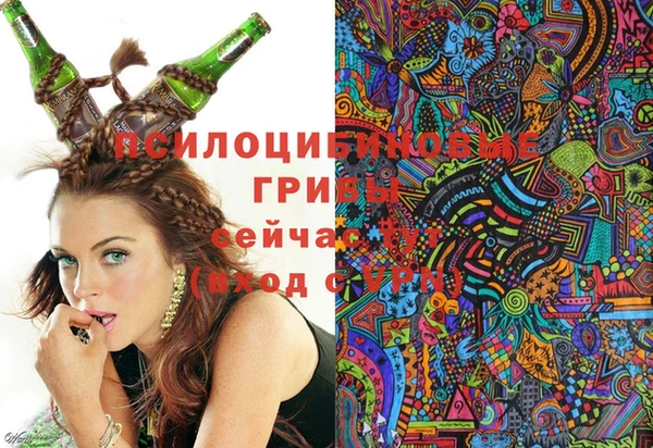спайс Горняк