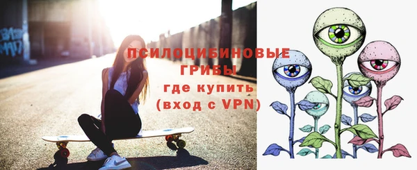 a pvp Горнозаводск