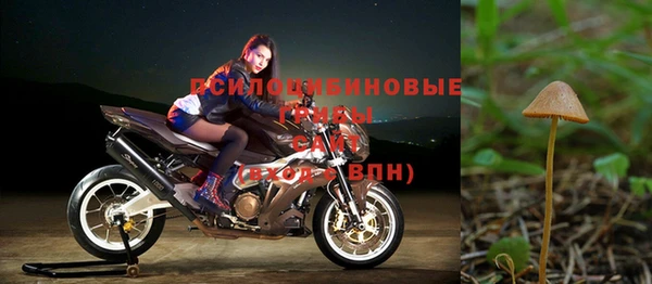 спайс Горняк