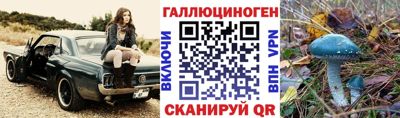 Псилоцибиновые грибы Psilocybine cubensis  Купить где  Сокол 