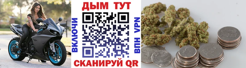 Бошки Шишки сатива  Купить где  Сокол 